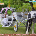 Romantic Wedding Ride Cinderella Carriage