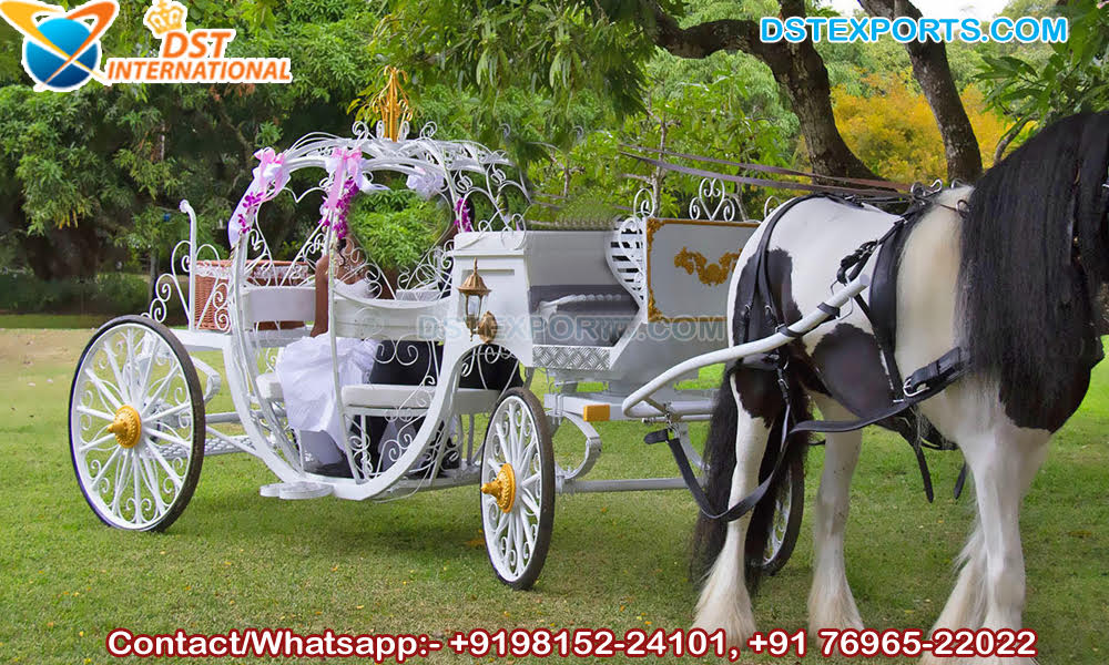 Romantic Wedding Ride Cinderella Carriage